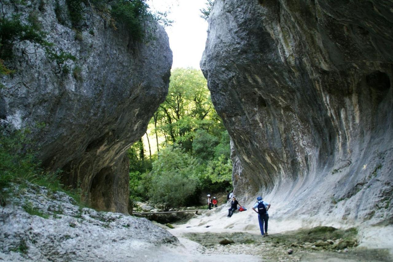 Gite Des Oliviers La Roque-sur-Cèze Exteriör bild