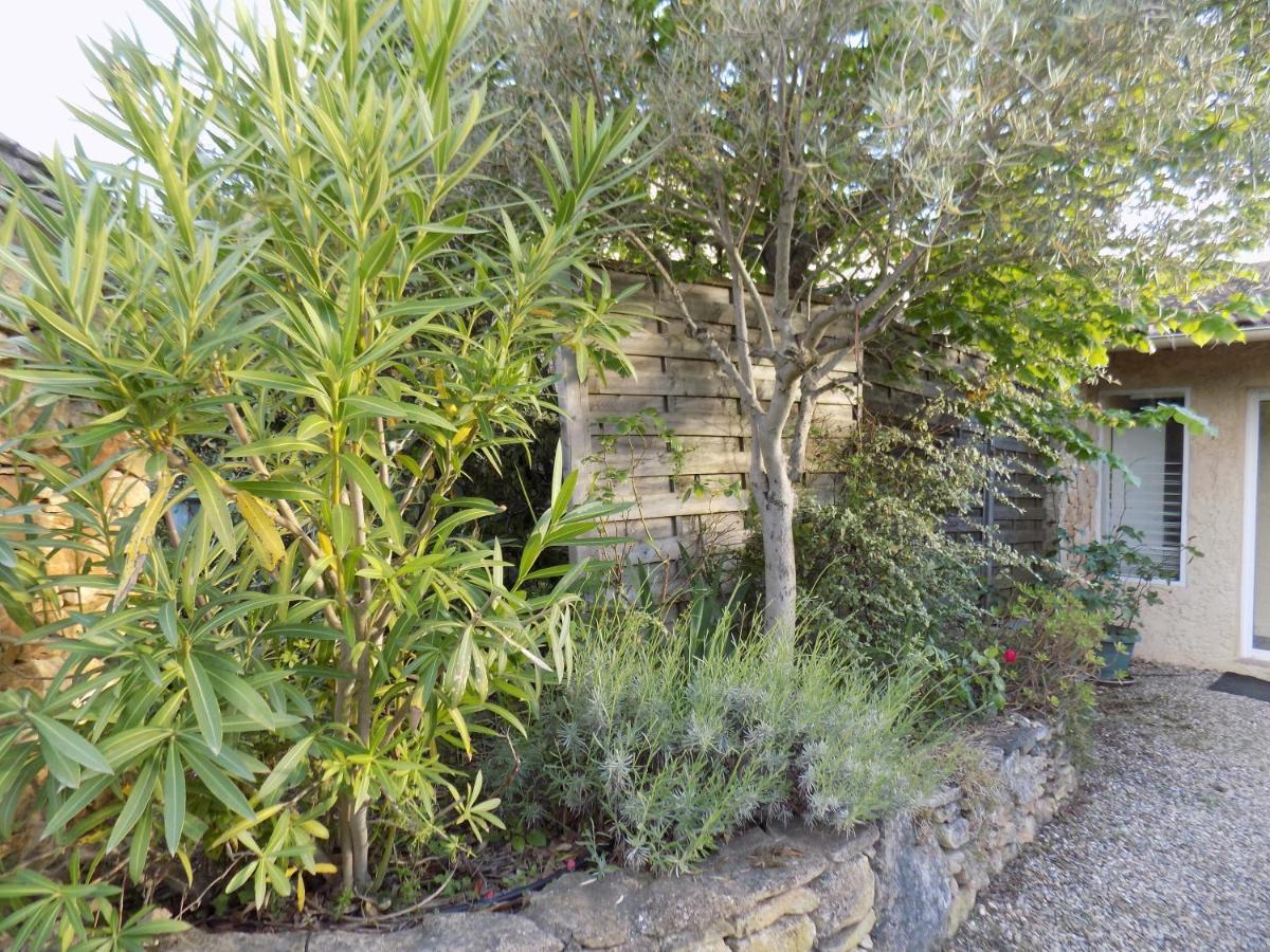 Gite Des Oliviers La Roque-sur-Cèze Exteriör bild